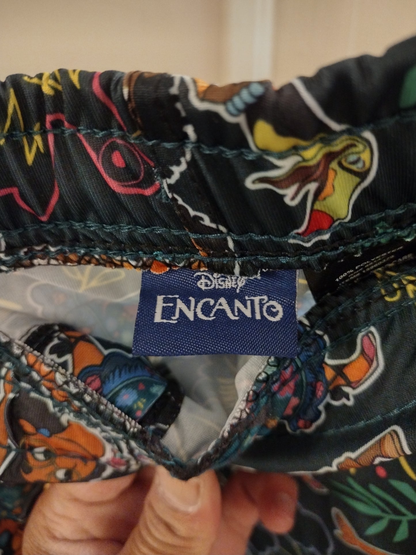 Disney Adult Encanto Allover and Drawings Pajama Pants