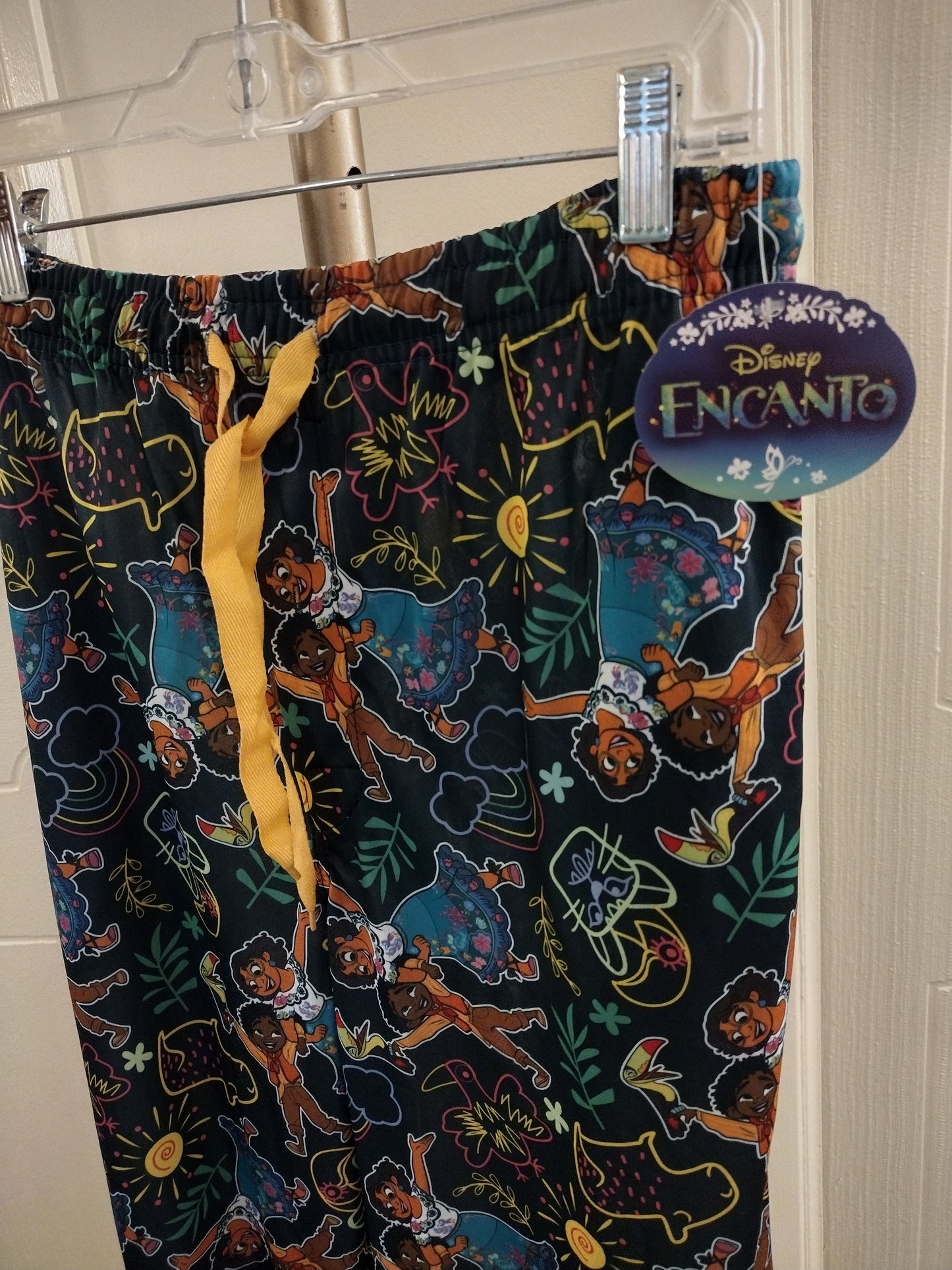 Disney Adult Encanto Allover and Drawings Pajama Pants