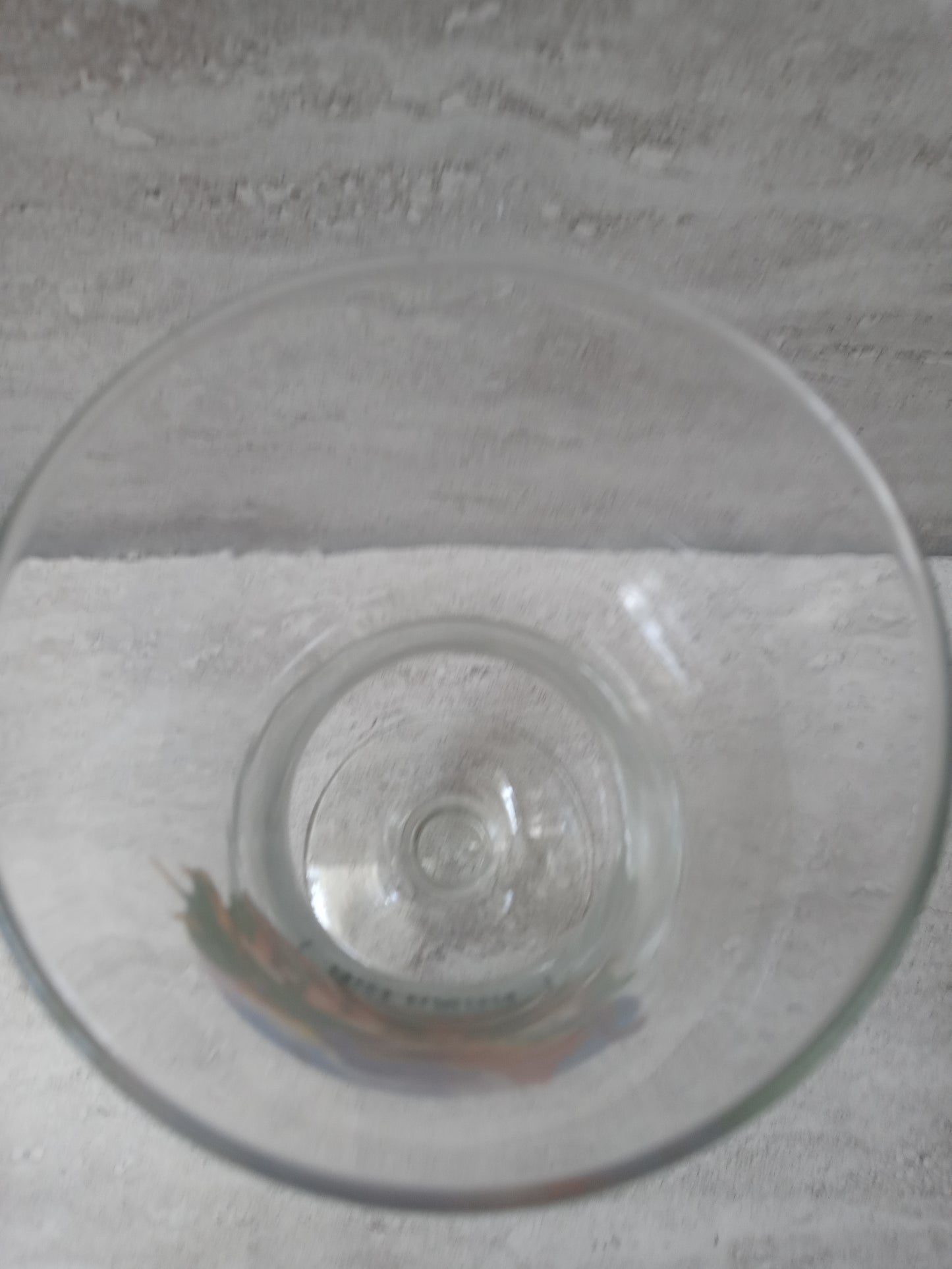 T-Rex Orlando Disney World Clear Hurricane Glass
