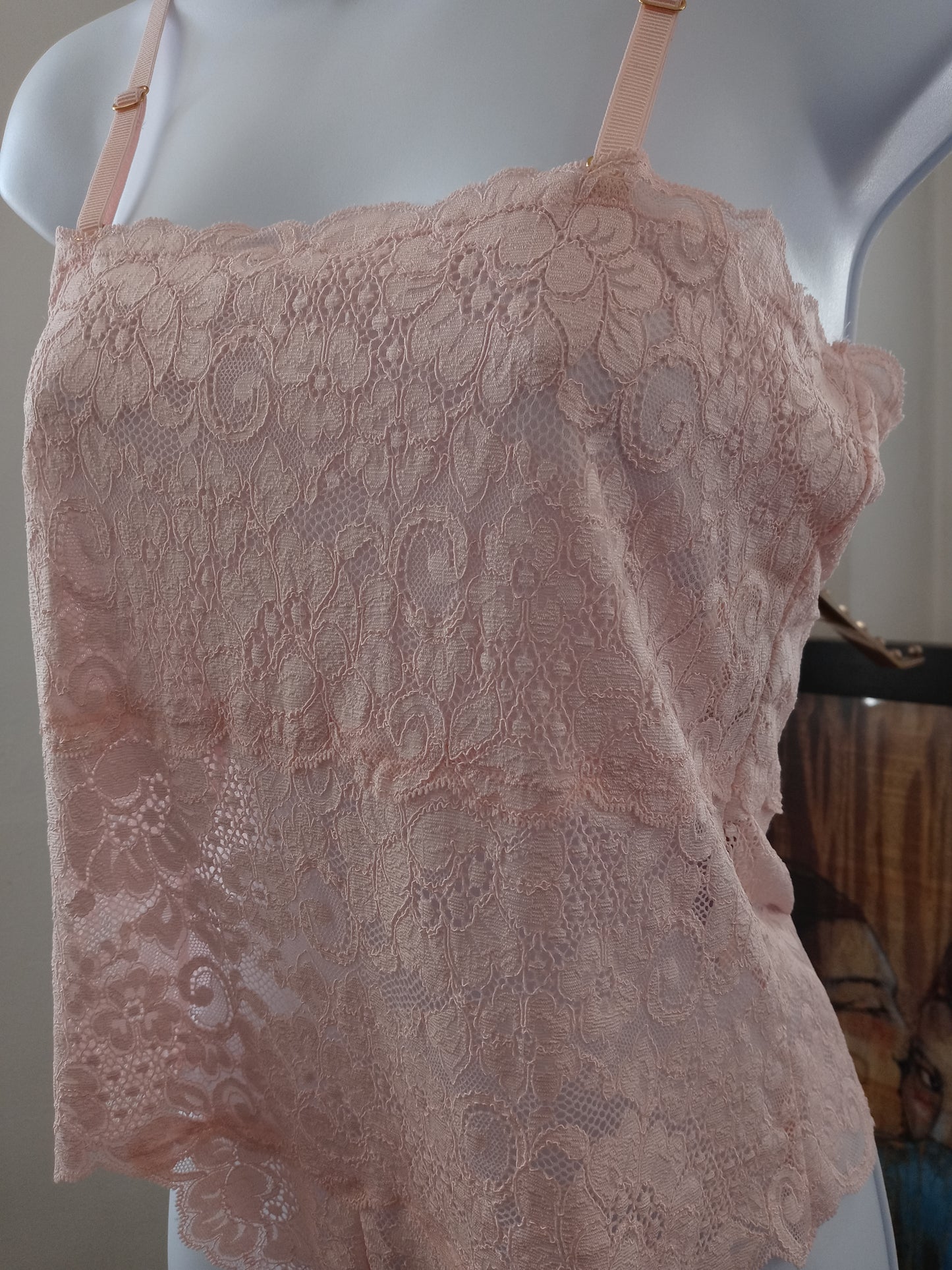 Wasteland Women's Light Pink Intimates 1pc