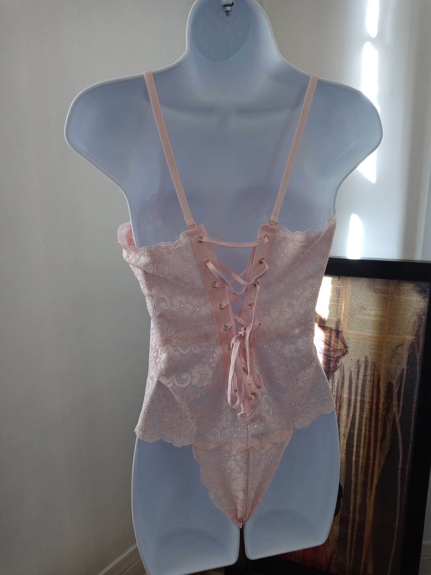 Wasteland Women's Light Pink Intimates 1pc