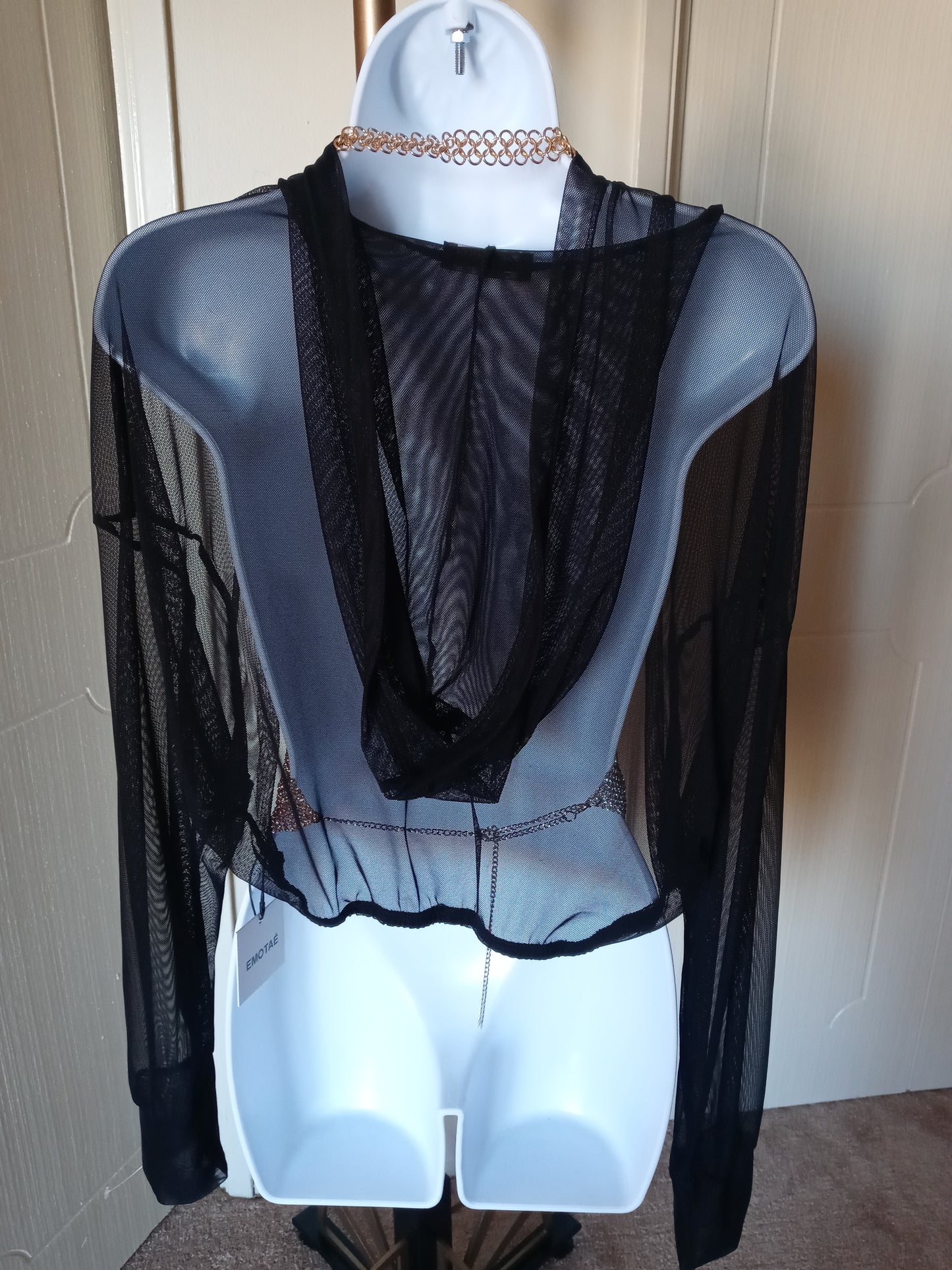 Fashion Nova See thru Long Sleeve Black Hoodie Crop Top