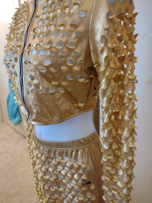 Gold Metallic Mesh Dress two 2 piece set skirt
